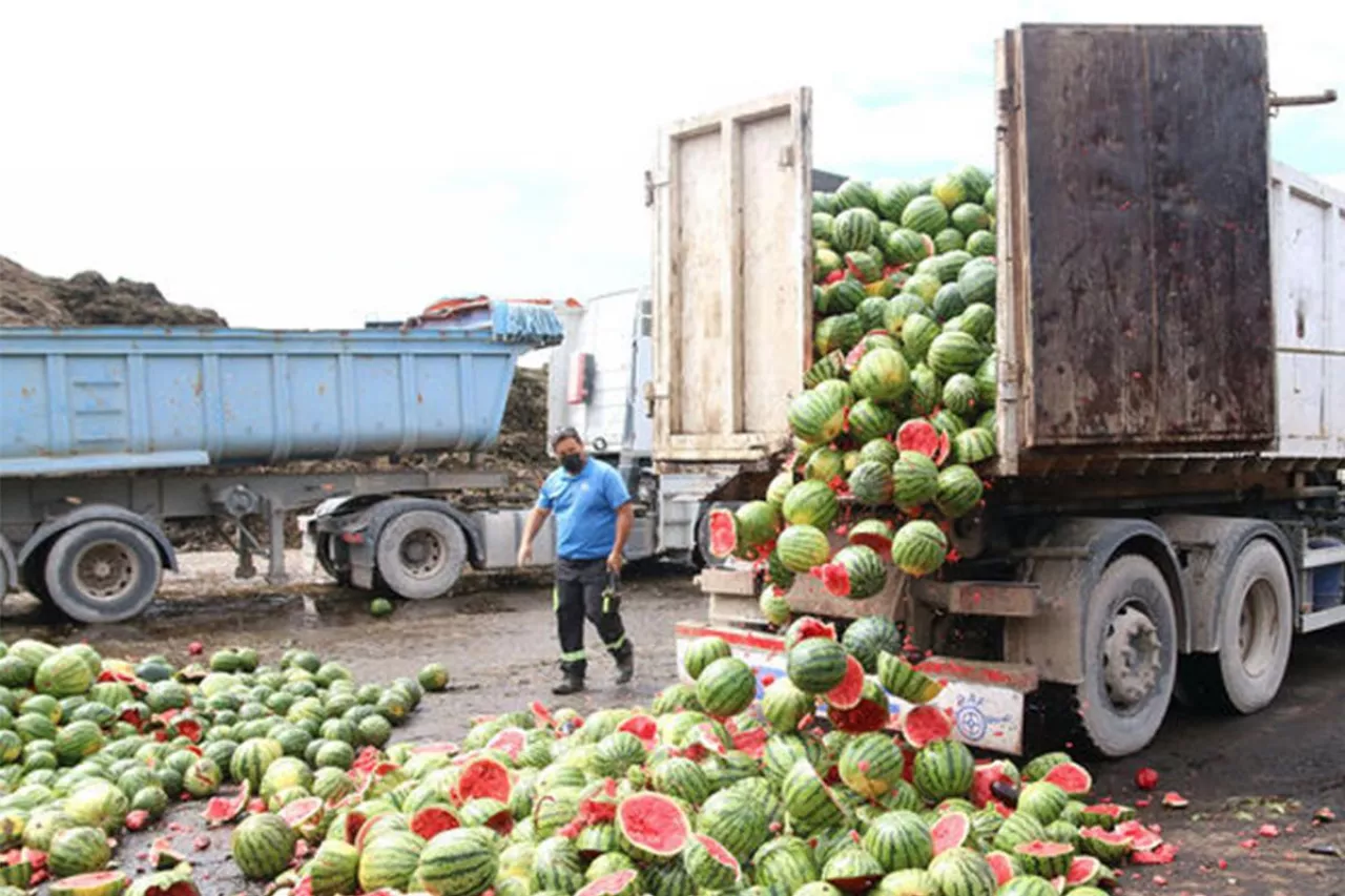 arbuzy dla zwierząt