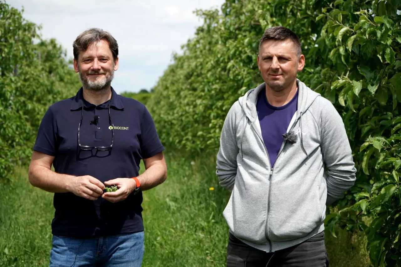 dr pniak i piotr zielińśki