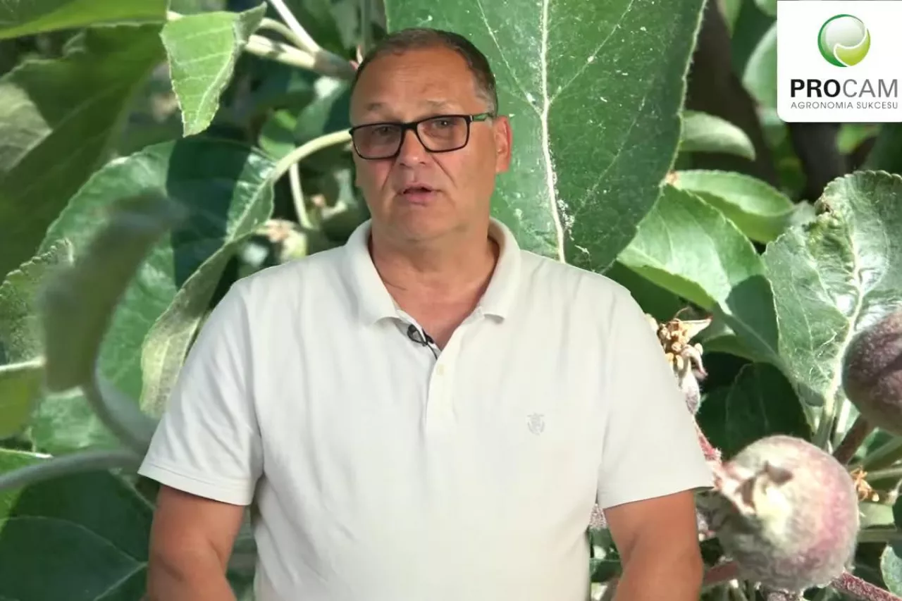 komunikat sadowniczy