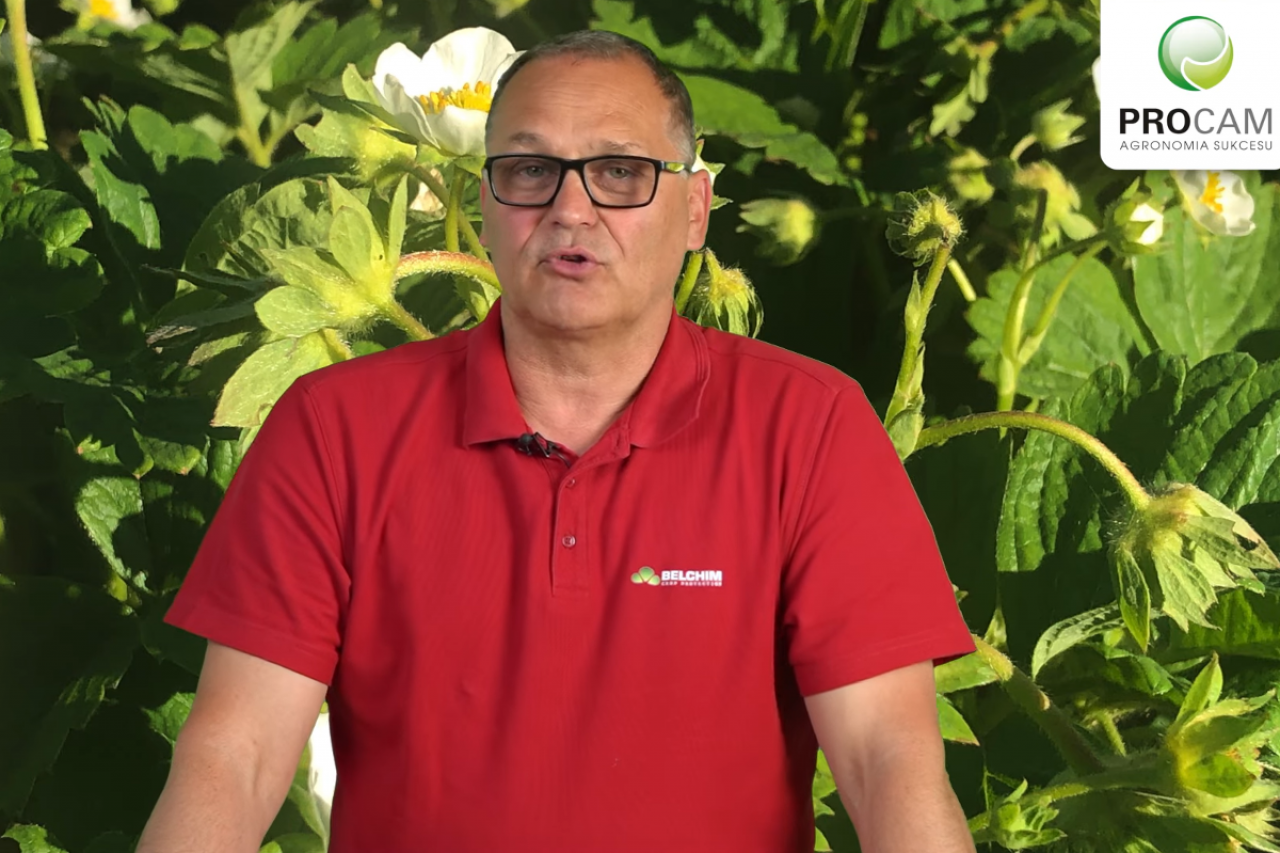 krzysztof gasparaski