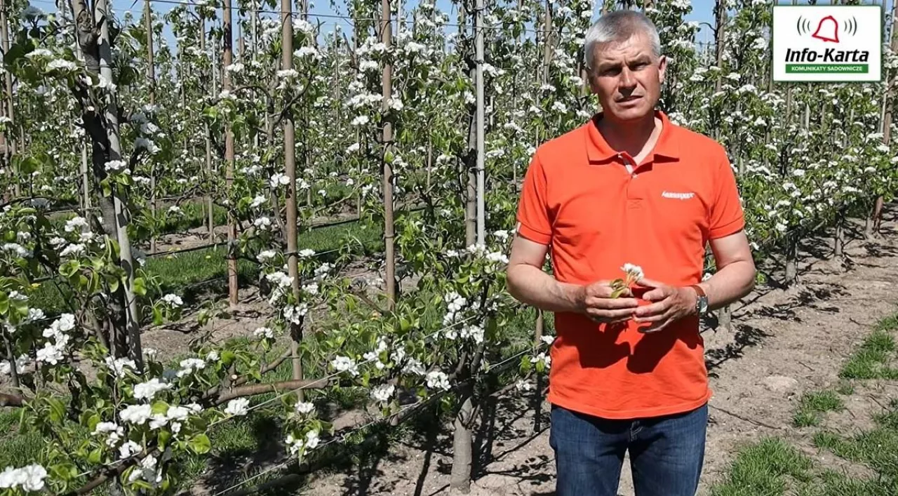 Robert Binkiewicz - Komunikat Agrosimex - Sad gruszowy