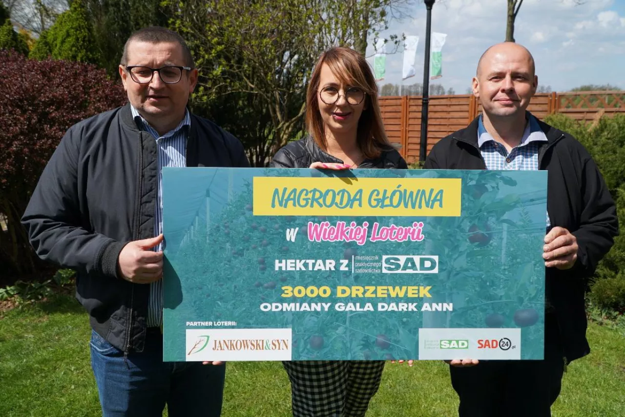wielka loteria