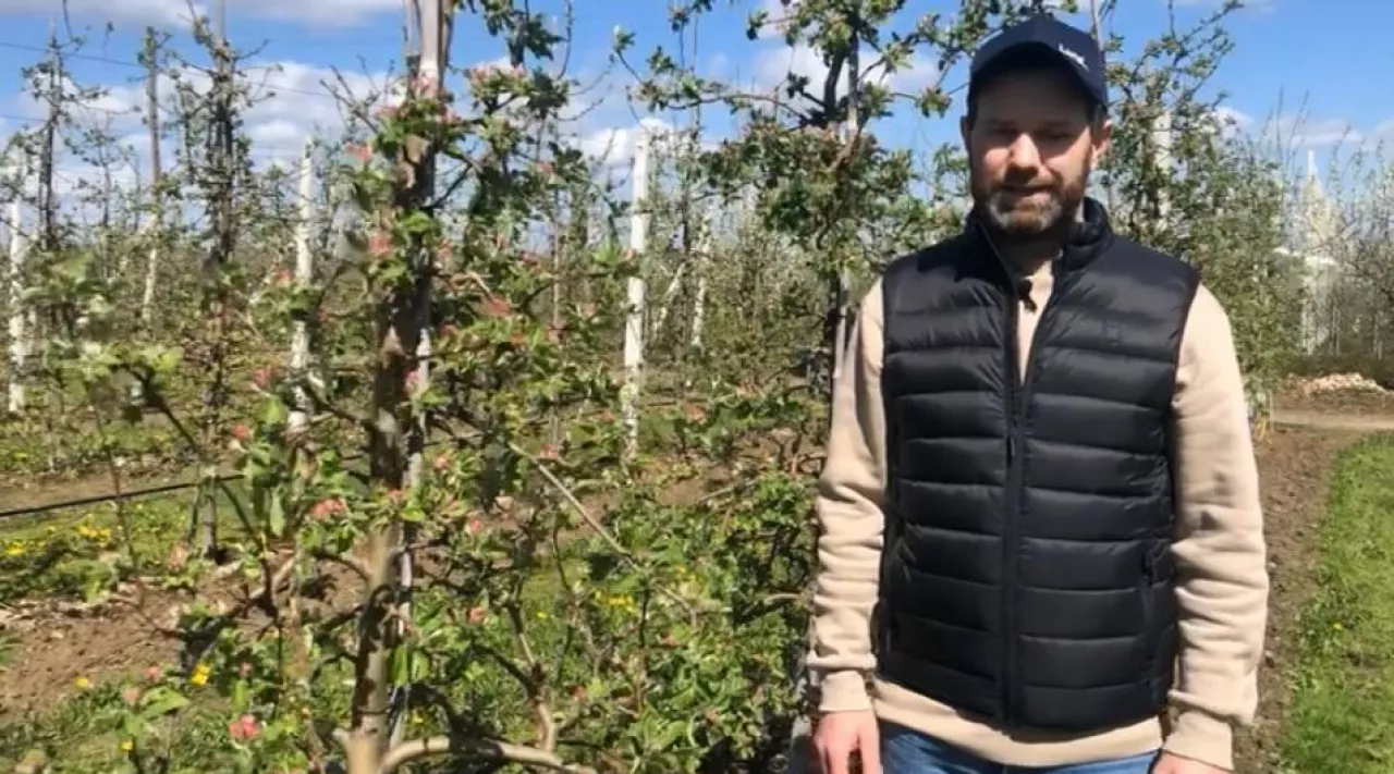 Szymon Jabłoński - komunikat sadowniczy Bayer 2021