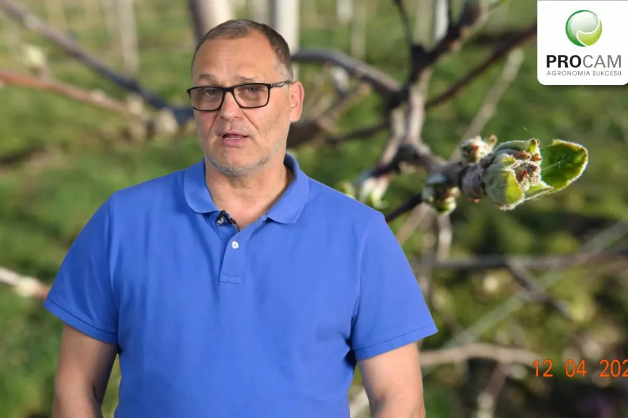 komunikat sadowniczy procam