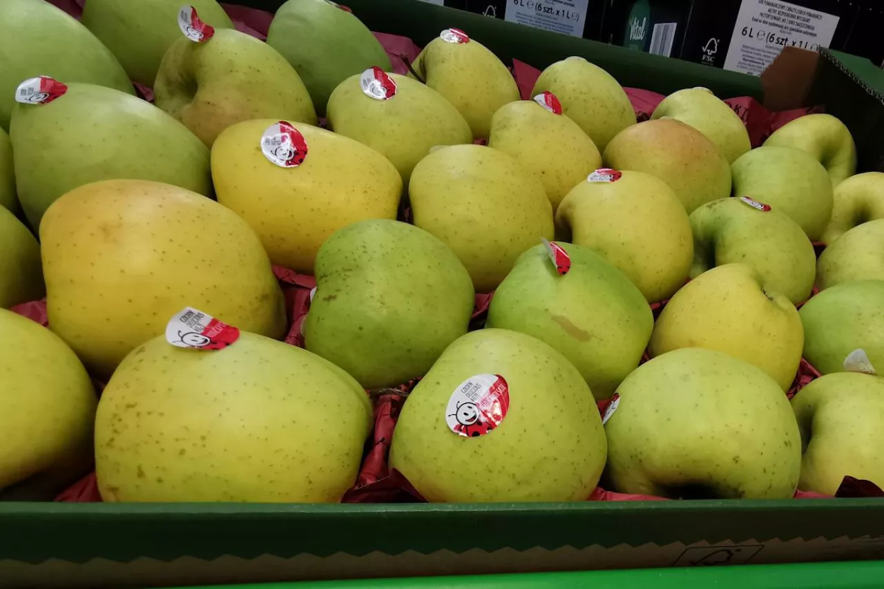 jabłka w markecie