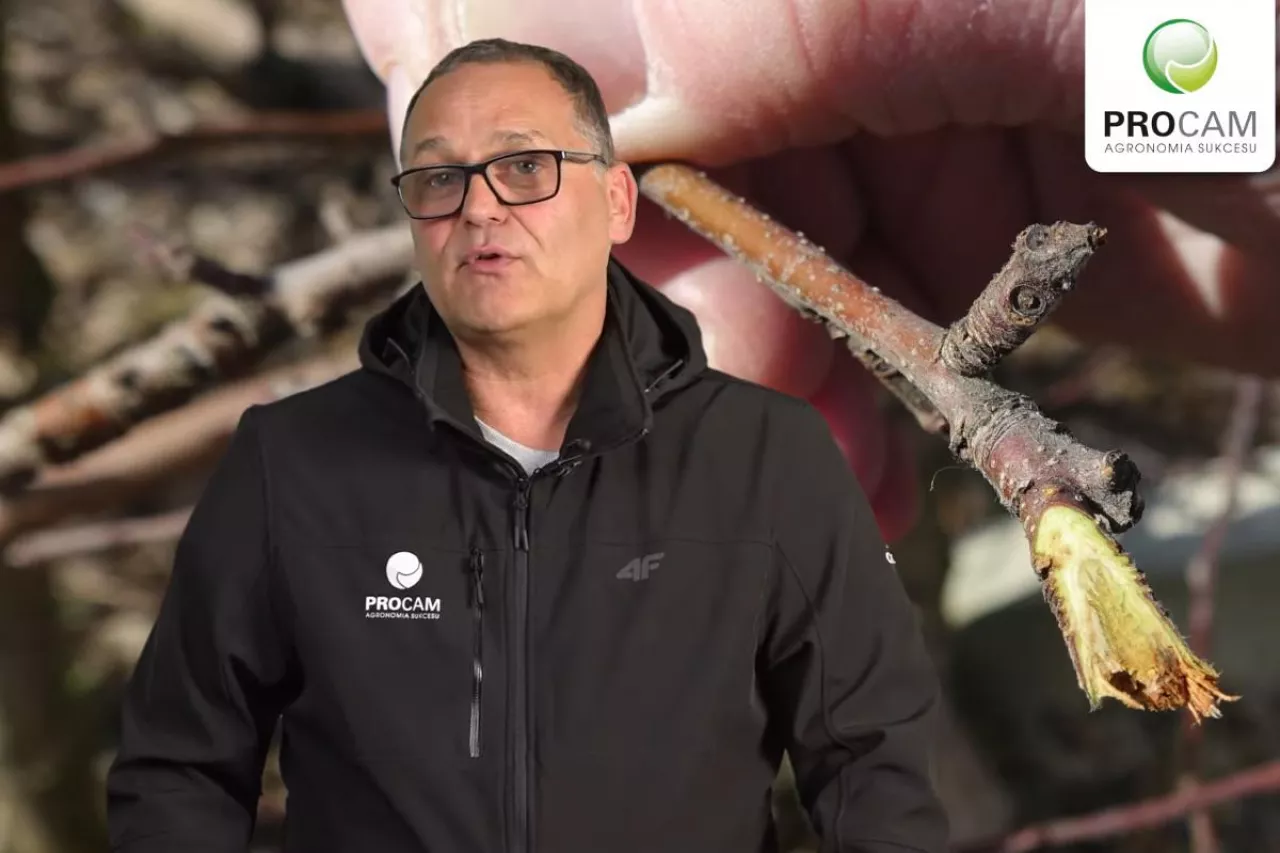 komunikat sadowniczy