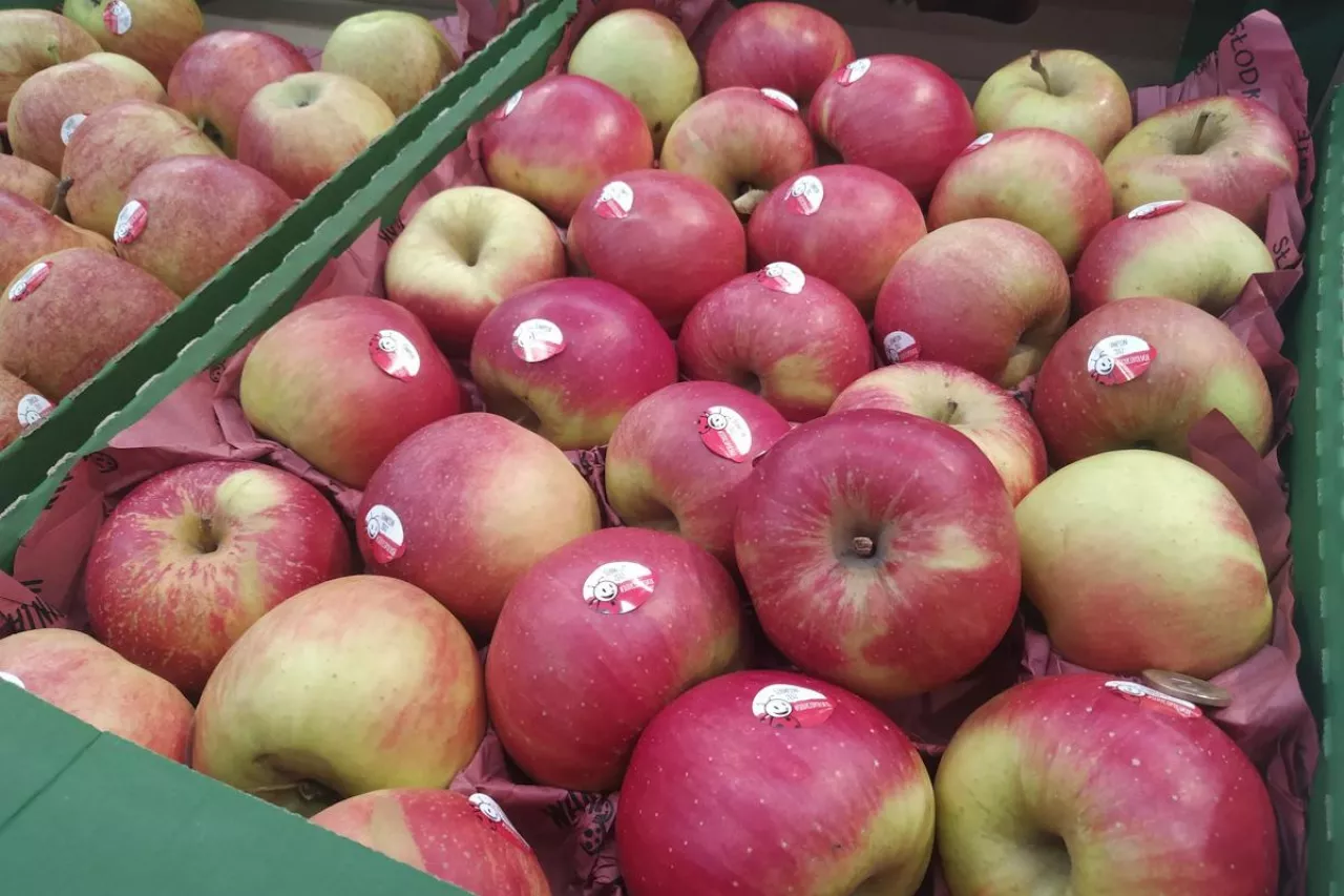 jabłka w markecie