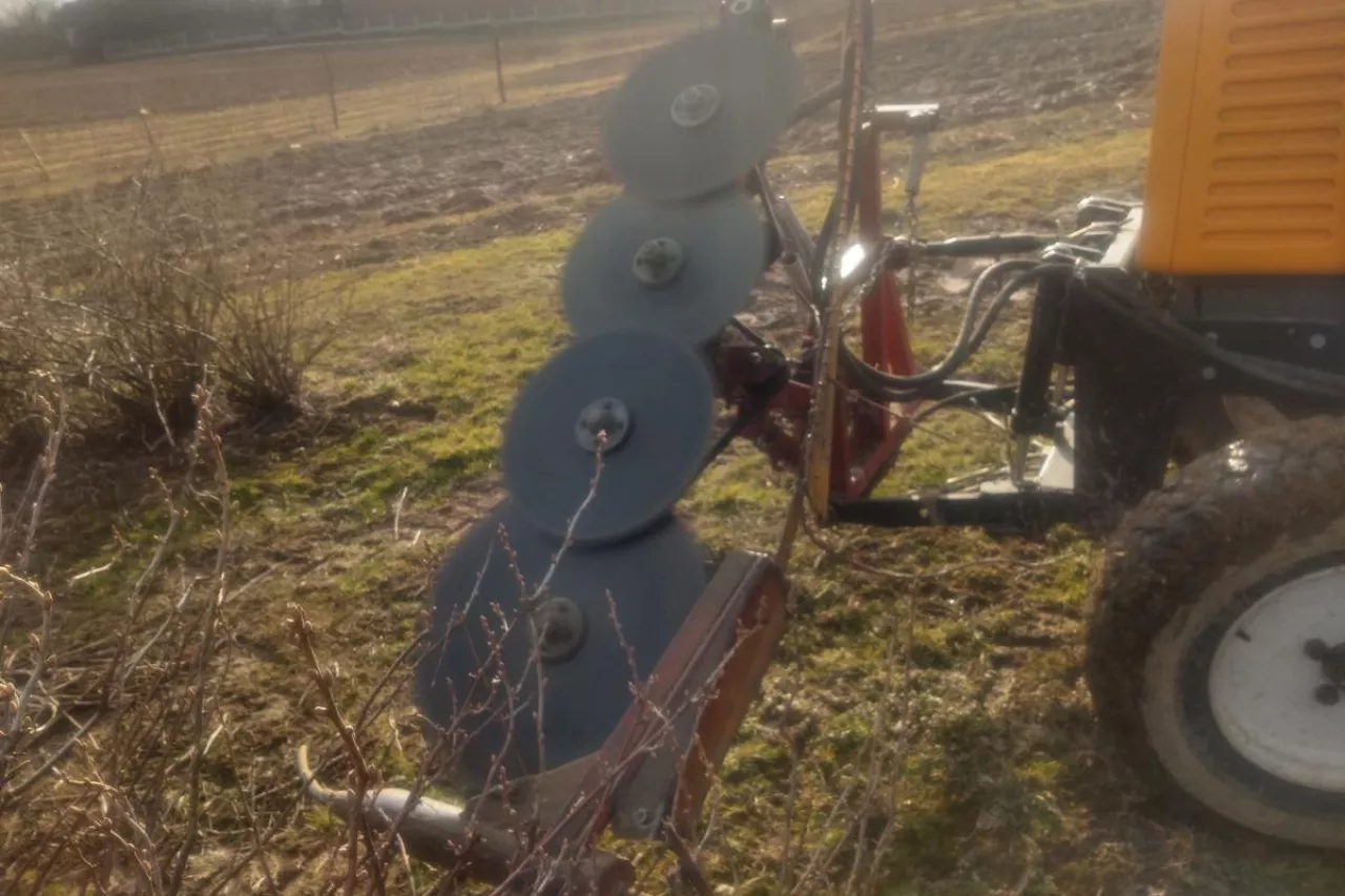 podcinacz do porzeczek