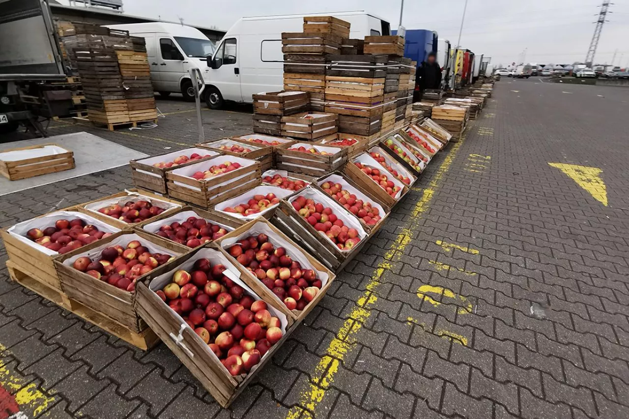 jabłka na rynku