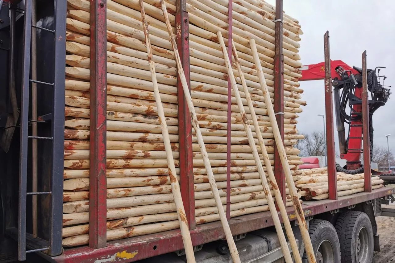 samochód z kołkami