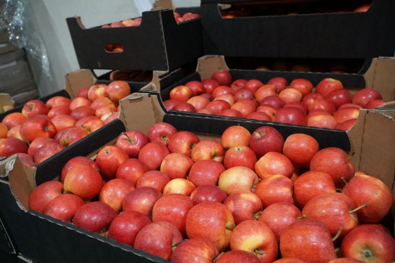 ceny jabłek deserowych w grupach