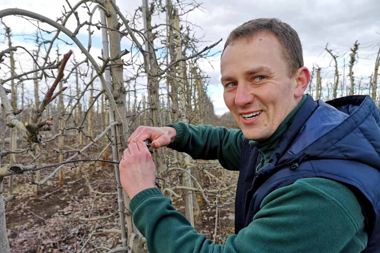 uszkodzenia mrozowe 2021