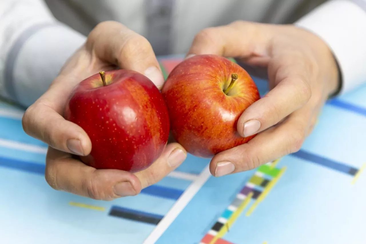 A farmer businessman considers the profits and expenses of an apple harvest.