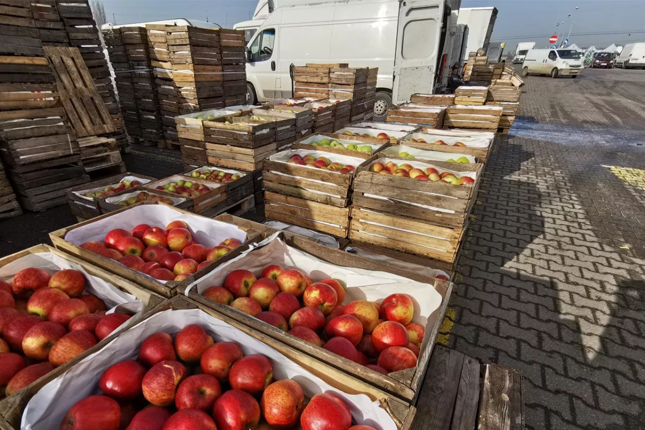 jabłka w skrzynkach