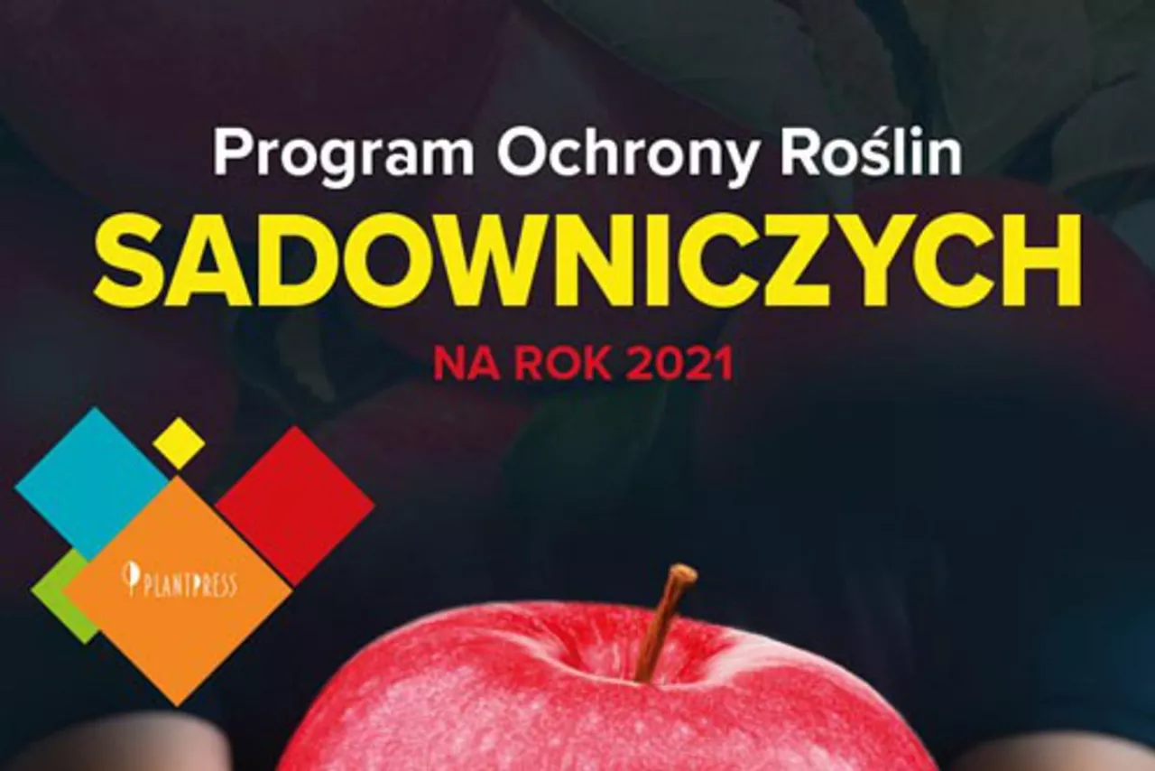 program ochrony