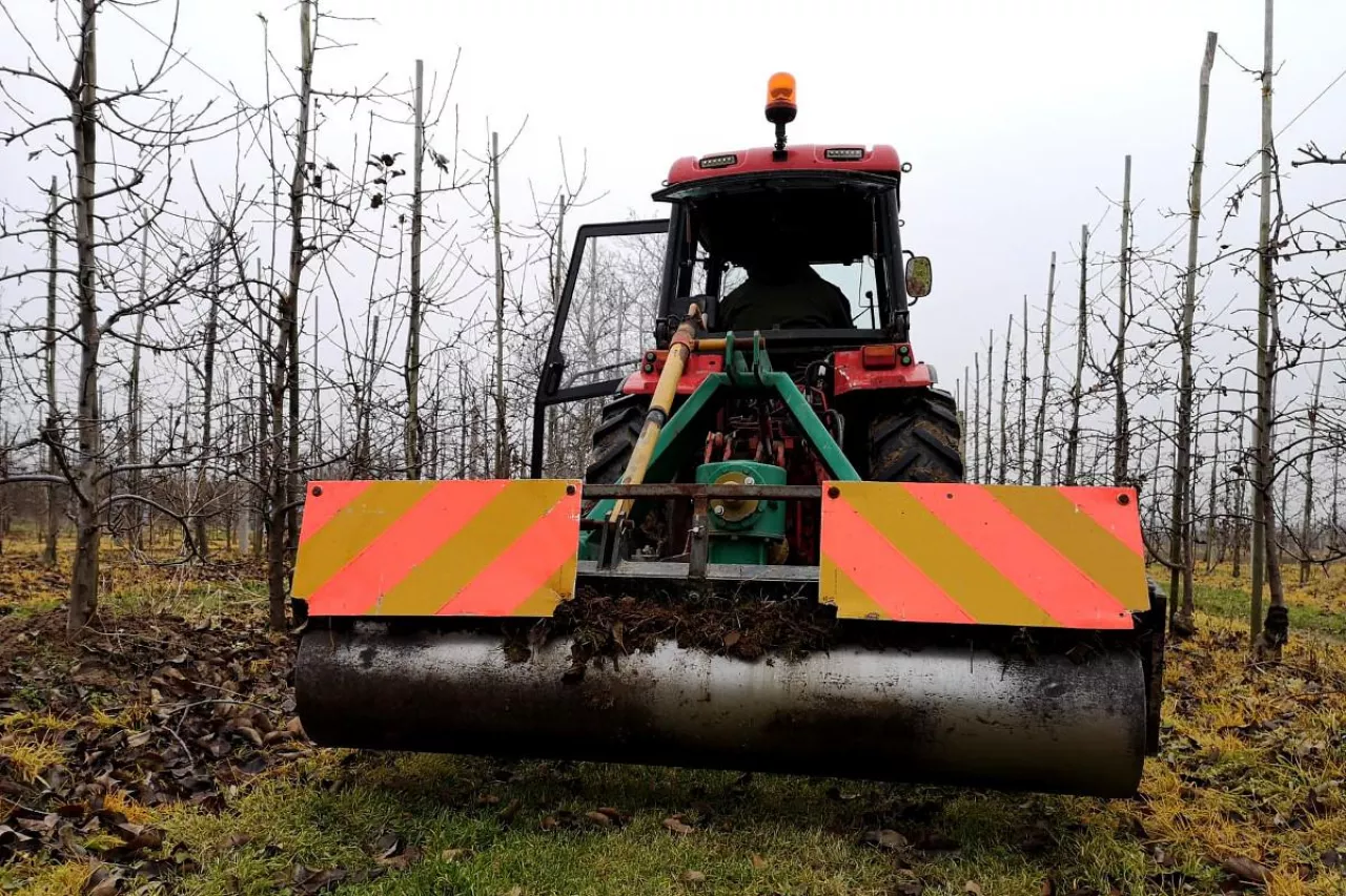 maszyny w sadownictwie