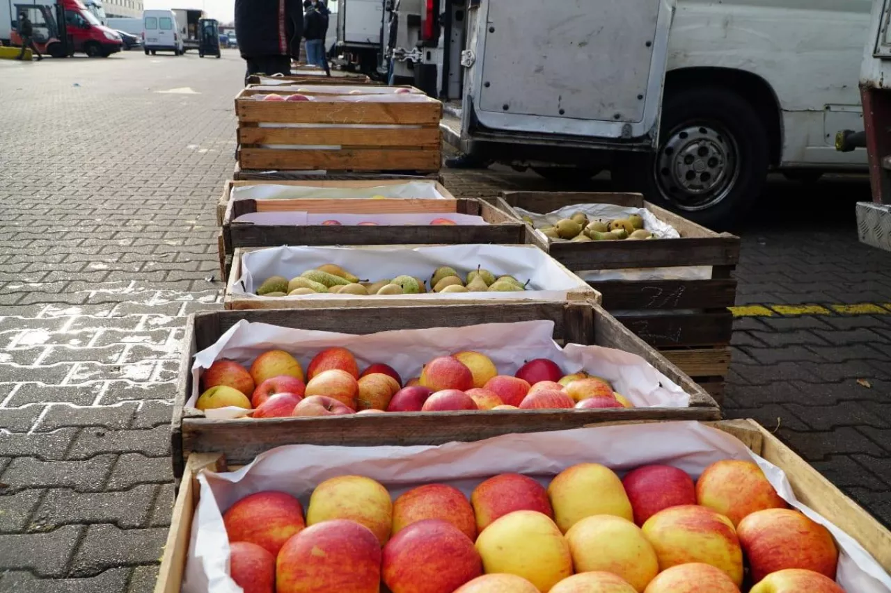 rynek hurtowy bronisze