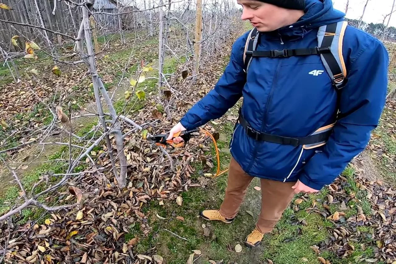 cięcie Red Joanprinca