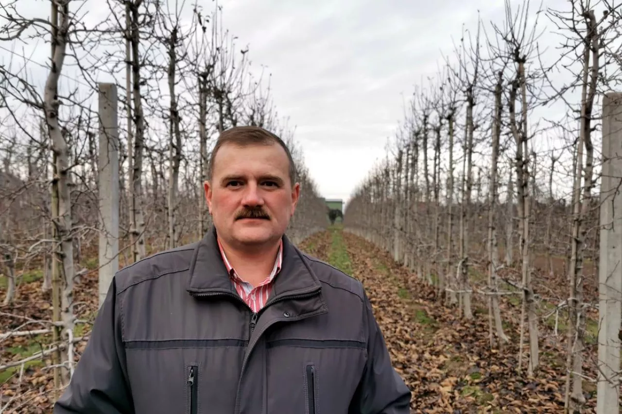 krzysztof cybulak ze zwiazku sadowników RP