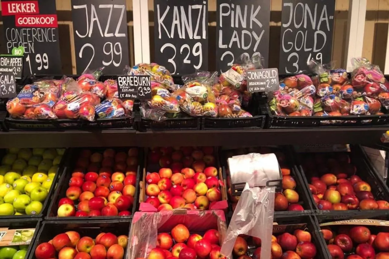 odmiany klubowe jabłoni