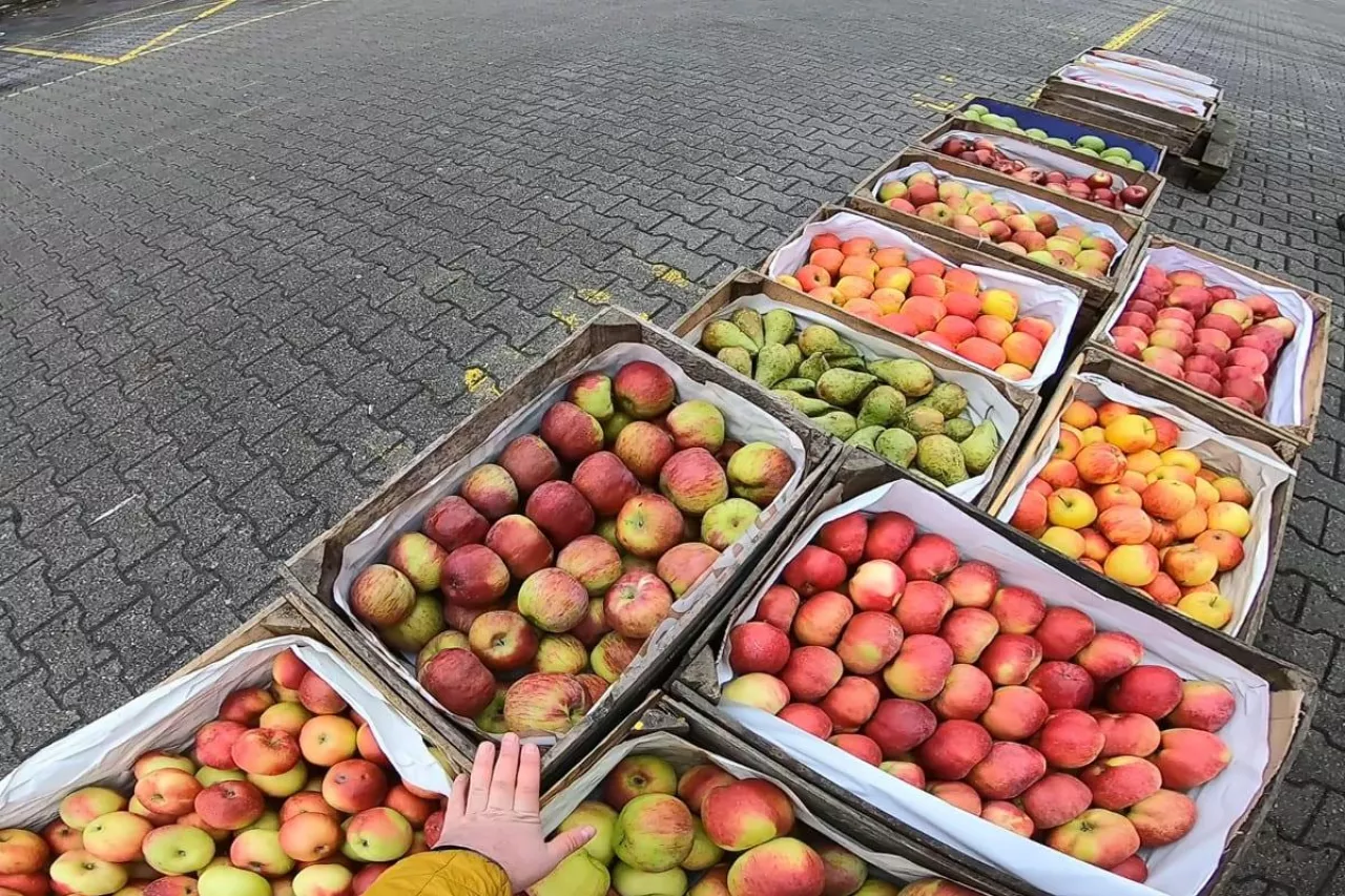 jablka deserowe na broniszach