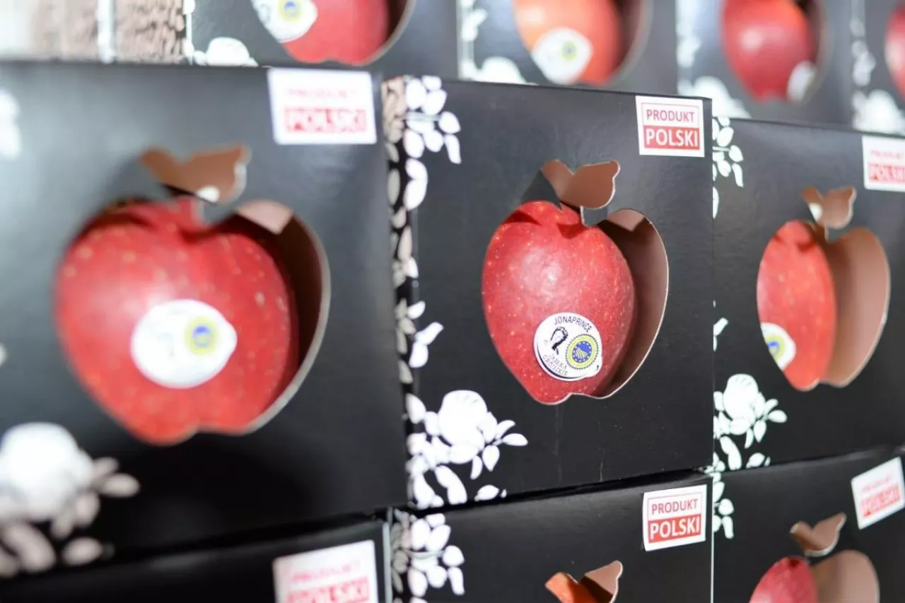 jablka grójeckie
