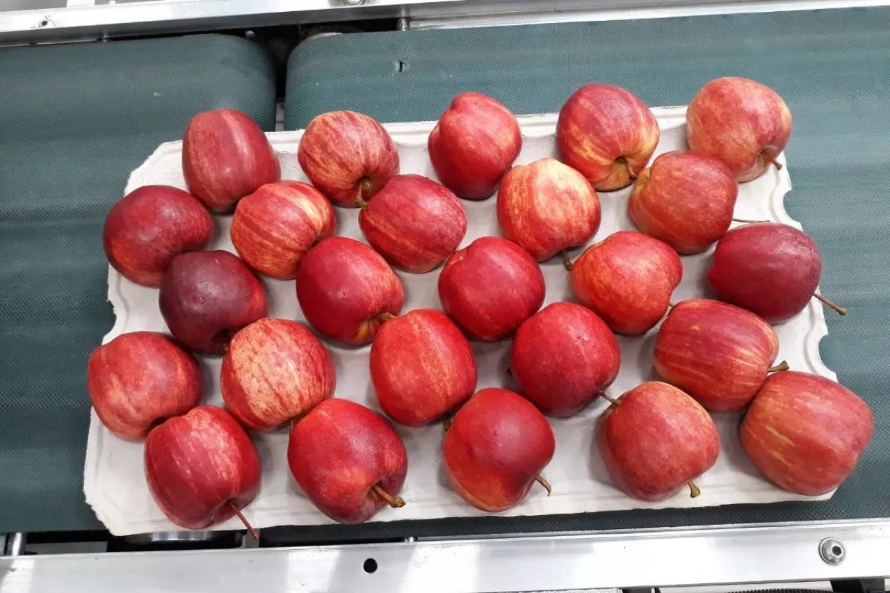 Gala Royal w Wietnamie