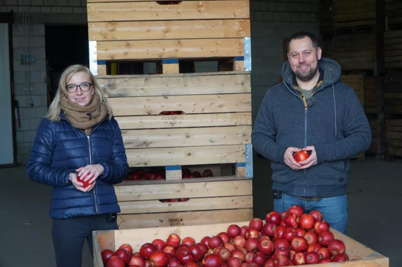 podsumowanie sezonu w sadach