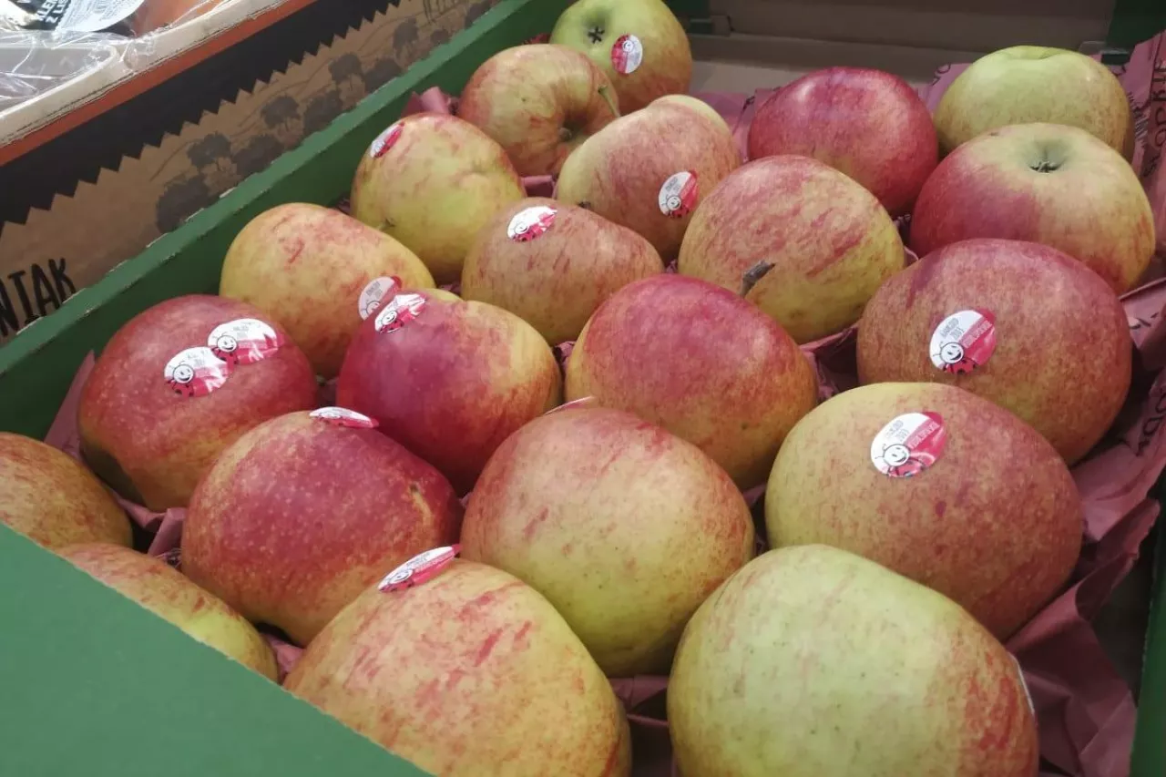 promocja w biedronce