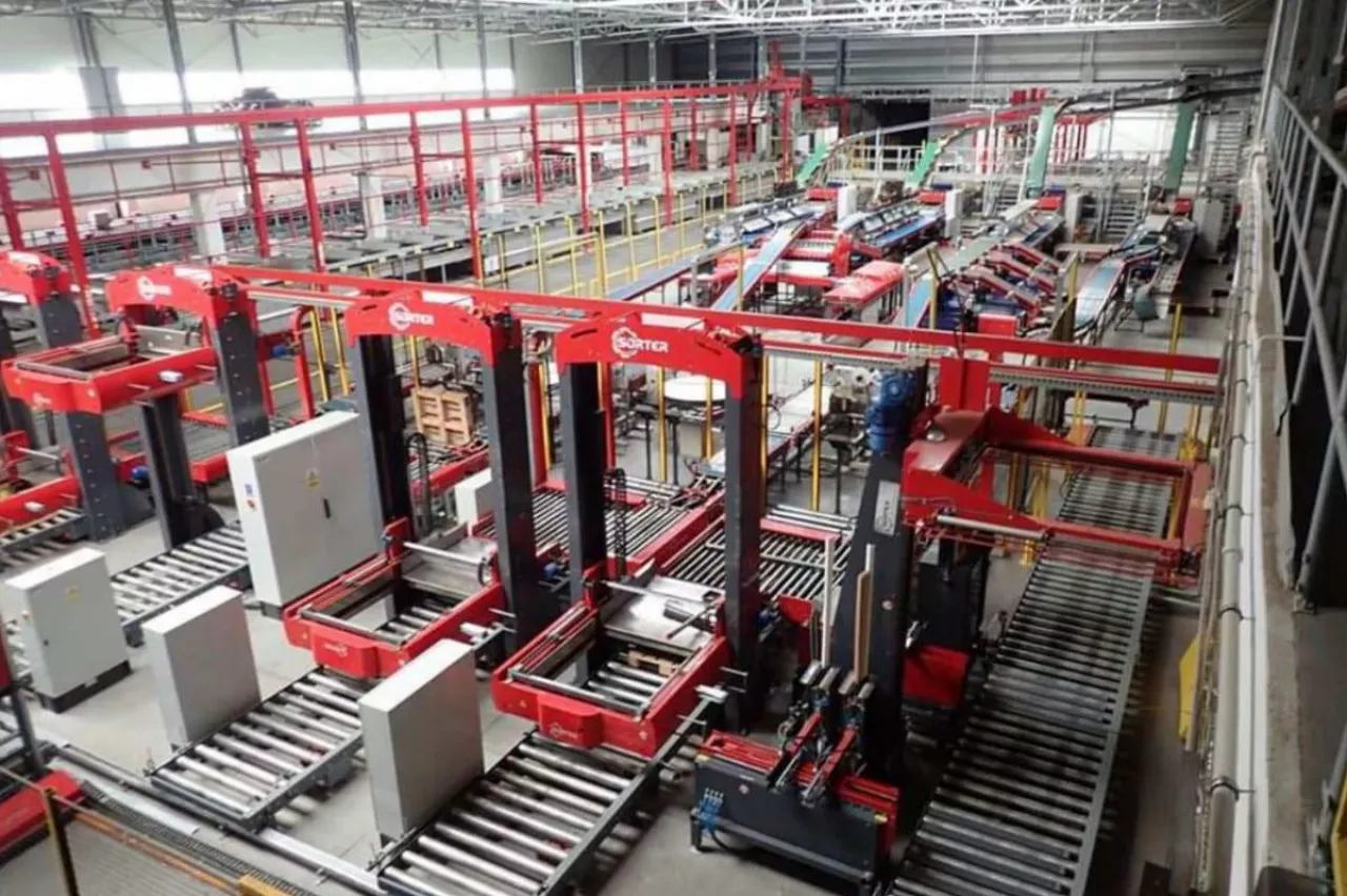 maszyny sortujące na sprzedaż