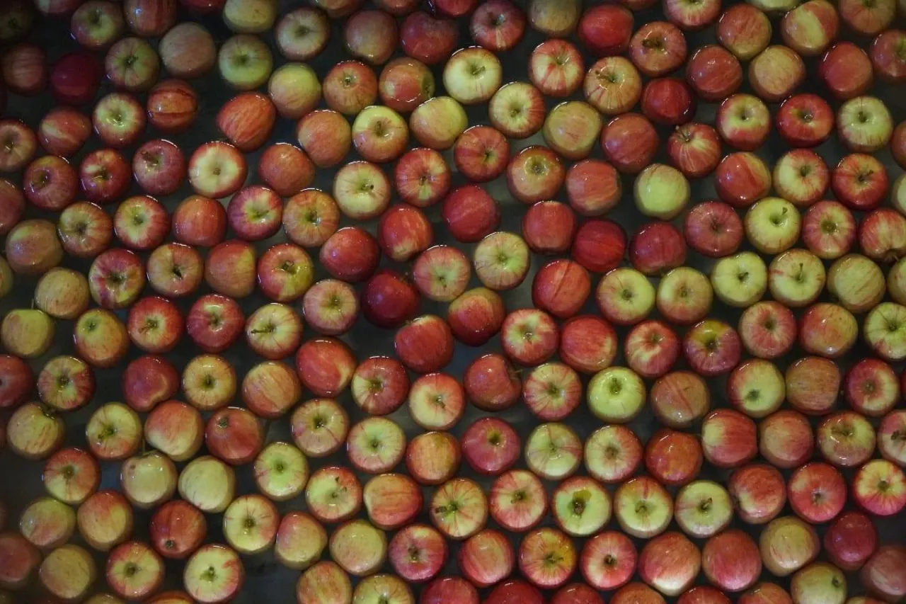 drobne jabłka