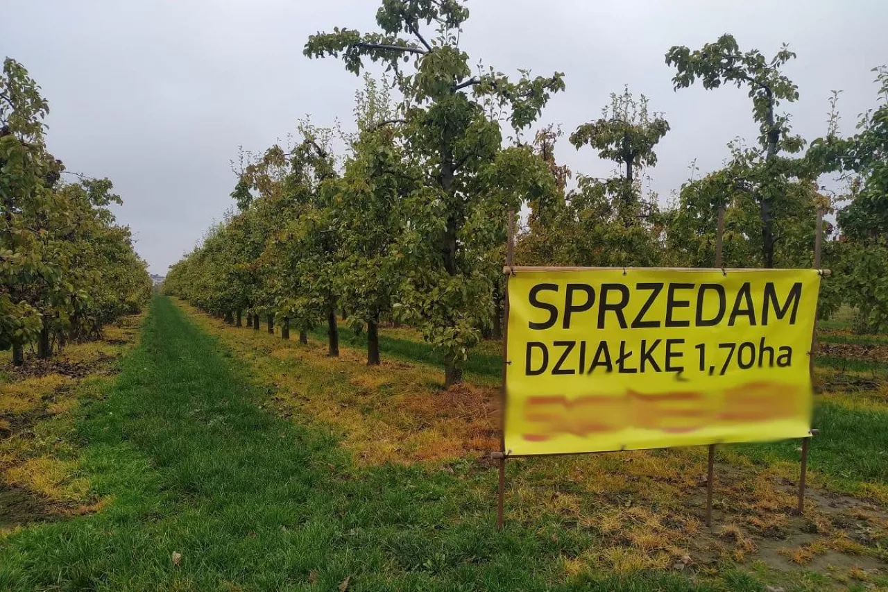 sprzedam gospodarstwo