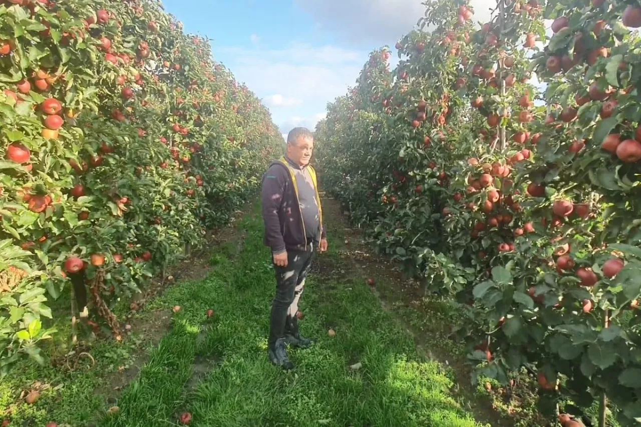 relacja z gospodarstwa