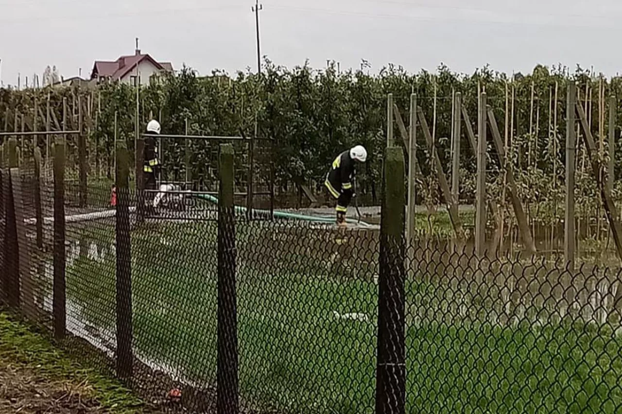 strazacy odpompowują wodę z zalanego sadu