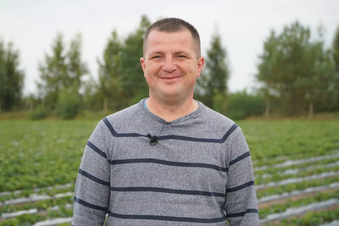 Doradca Jagodowy Albert Zwierzyński