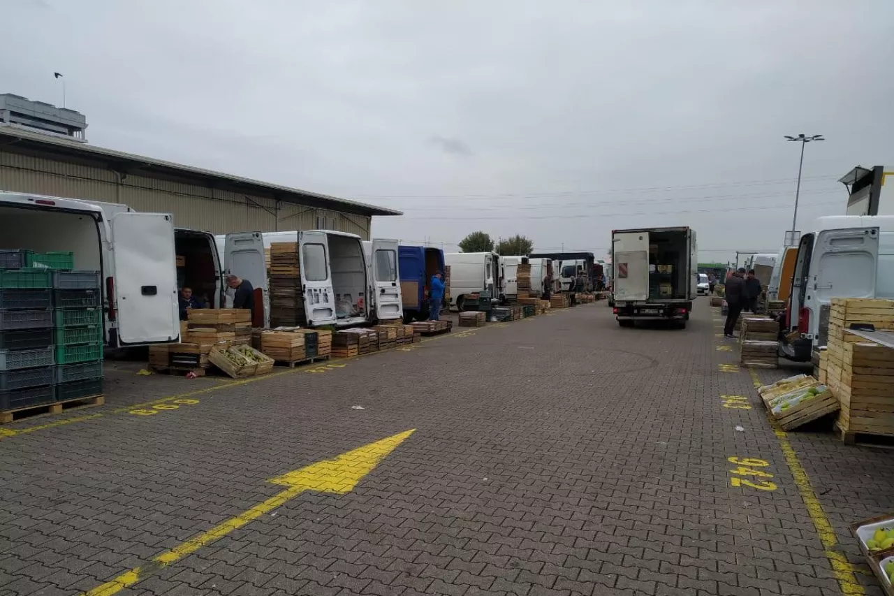 bronisze ceny jabłek