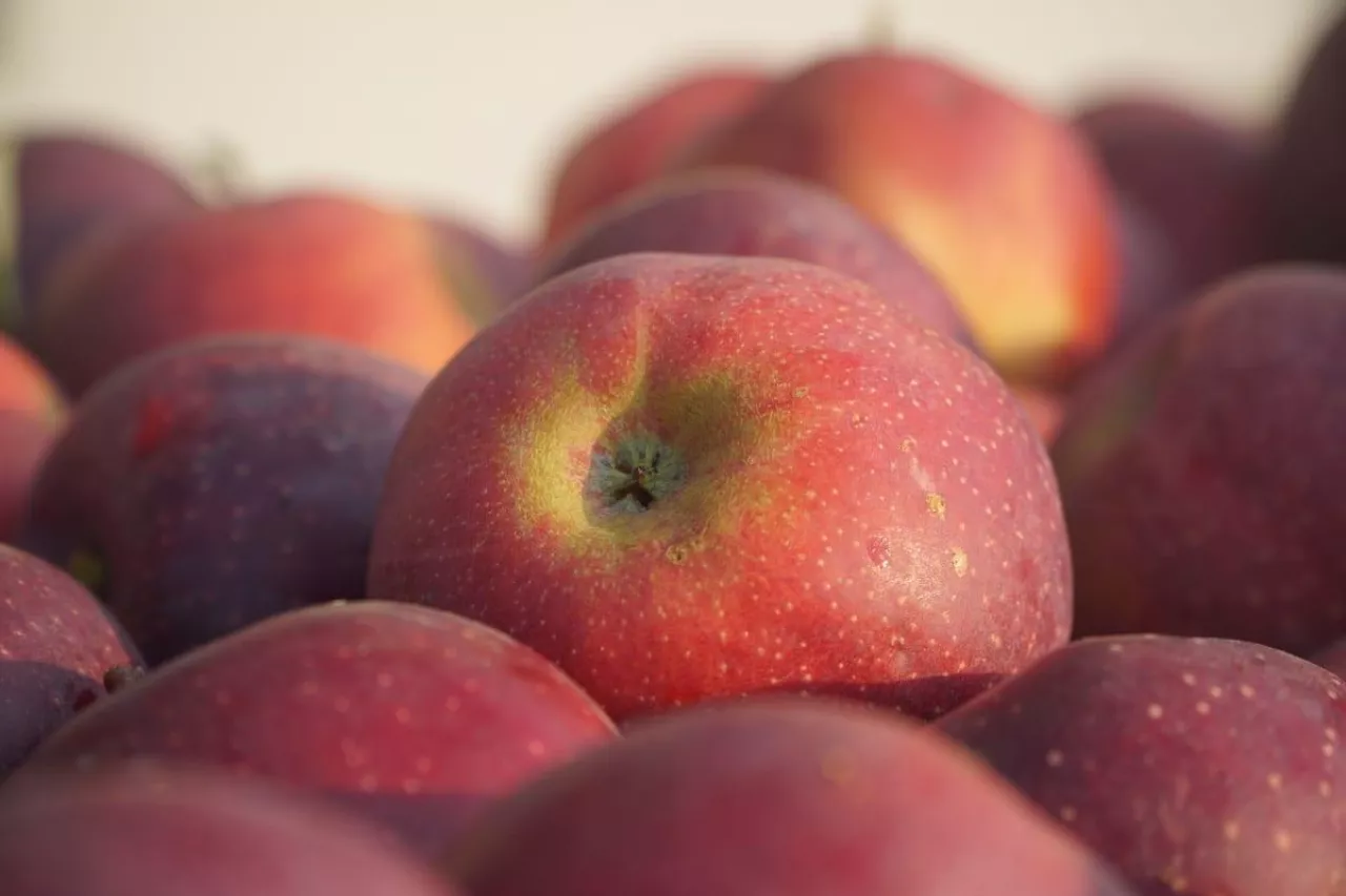 ceny jabłek deserowych 2020