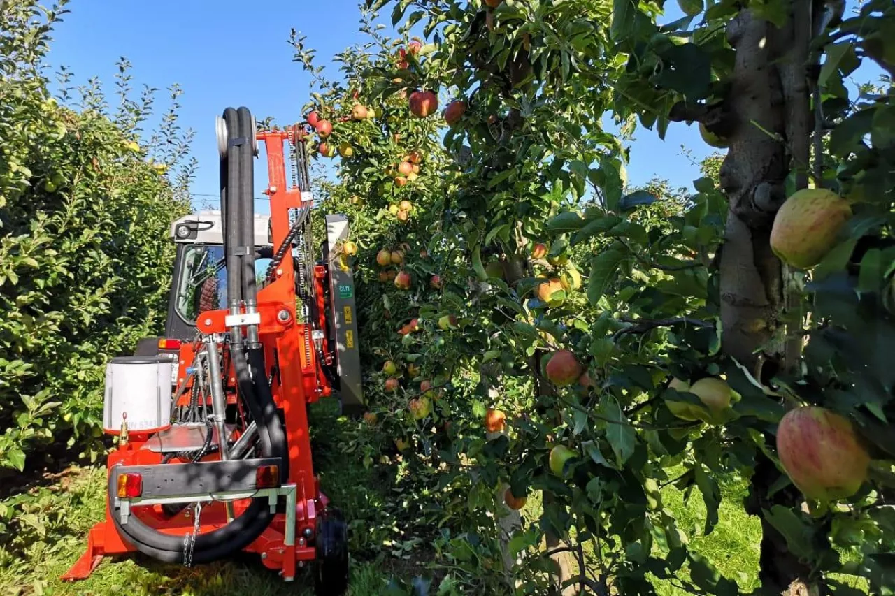 maszyna do usuwania liści z drzew w sadzie