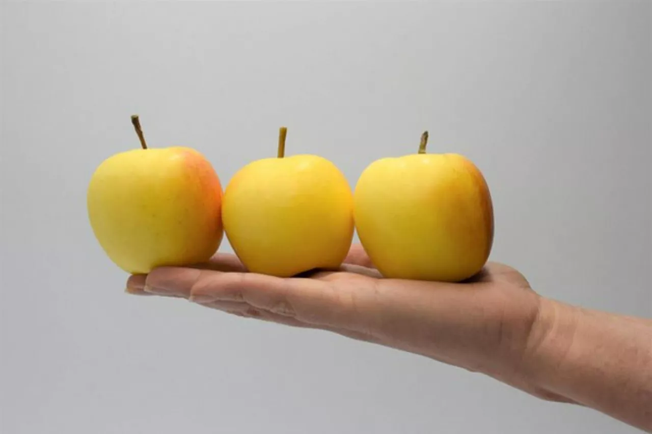 jabłka na przekąskę