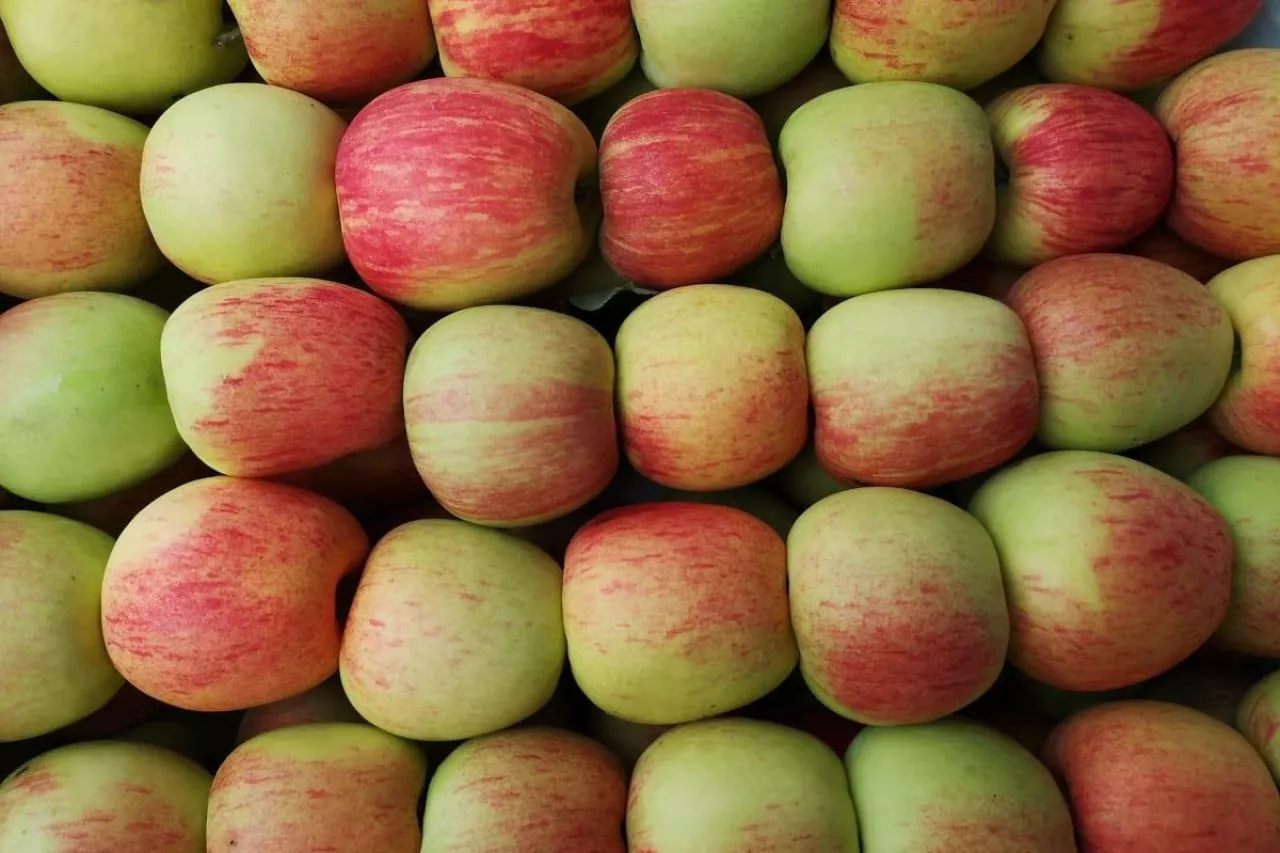 ceny jabłek