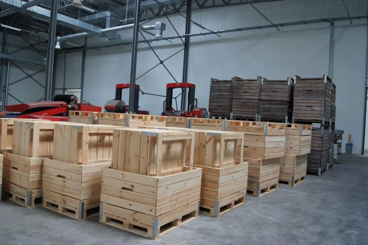 skrzyniopalety King Fruit