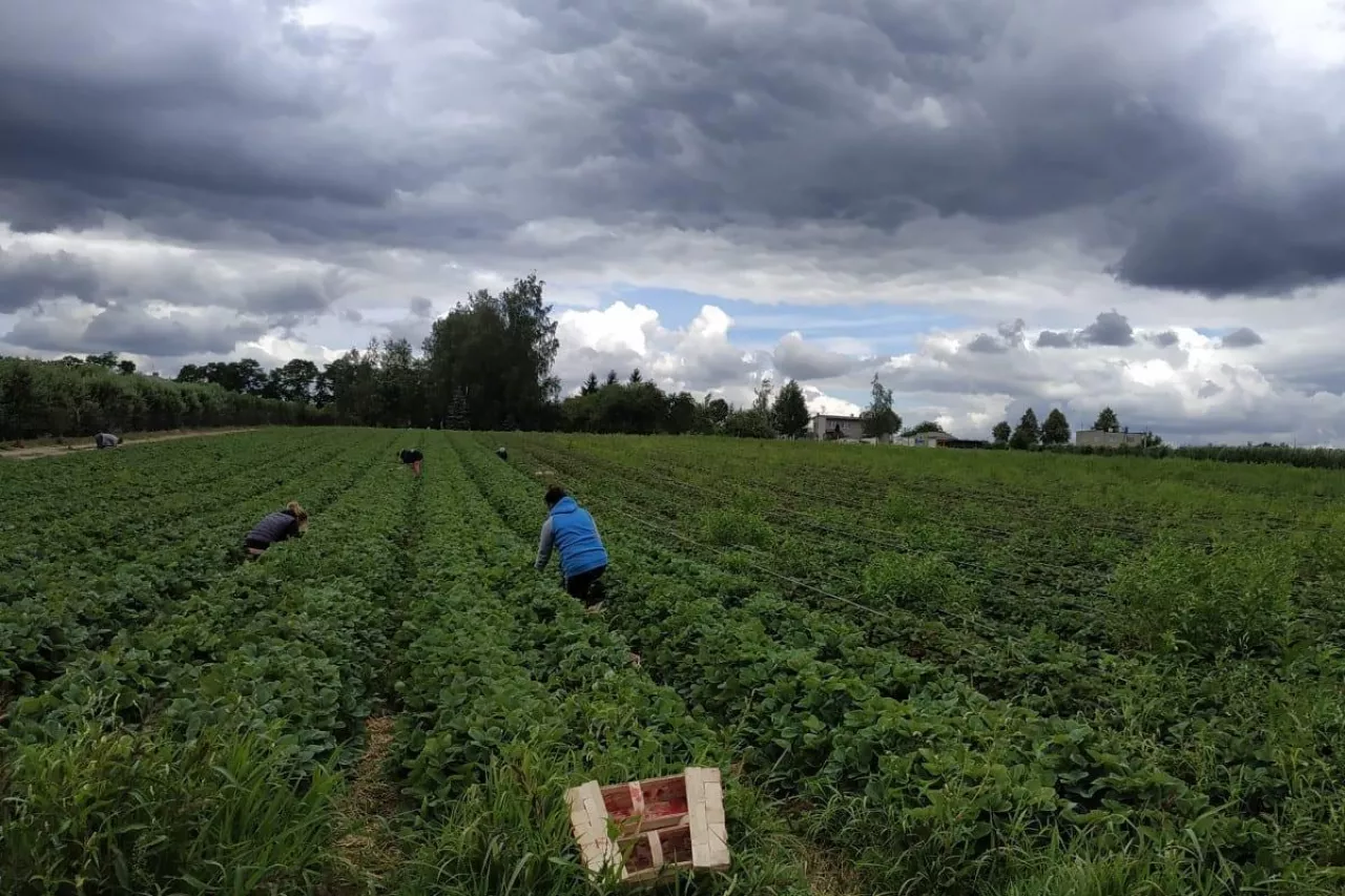 mężczyznę poraził piorun