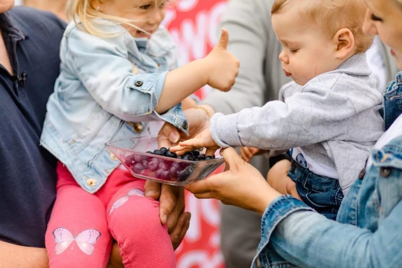 dzień polskiej borówki