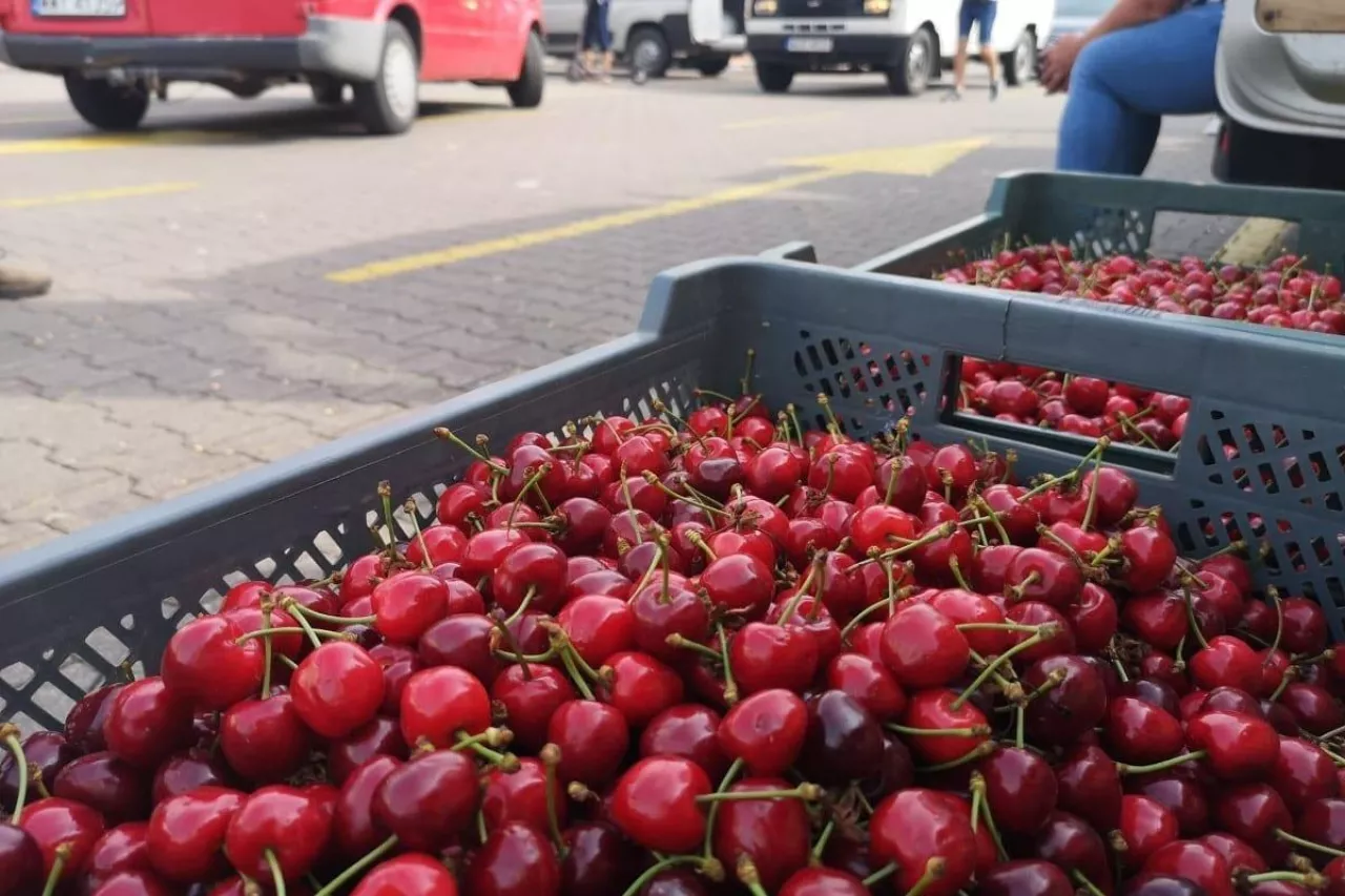 ceny czereśni