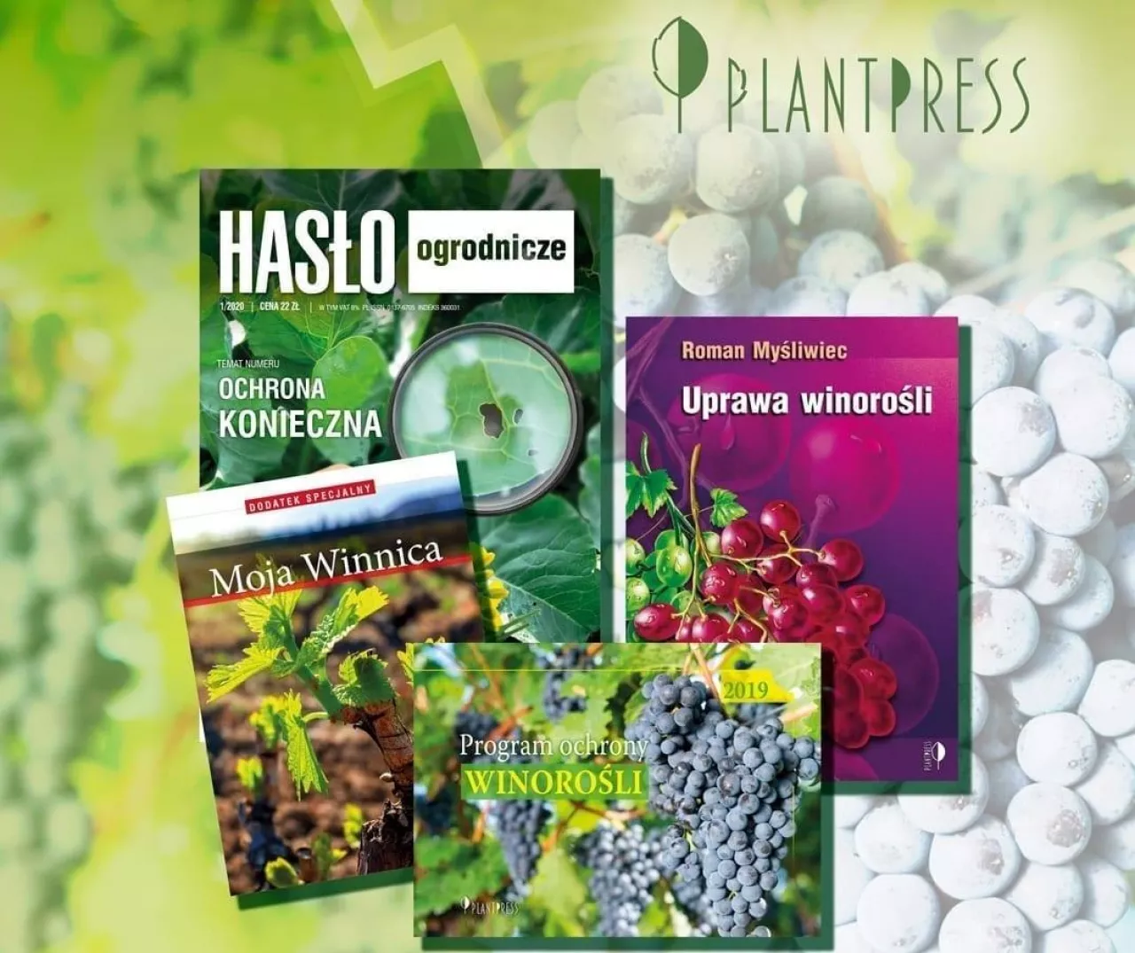 Pakiet ”Winorośl i winnica”