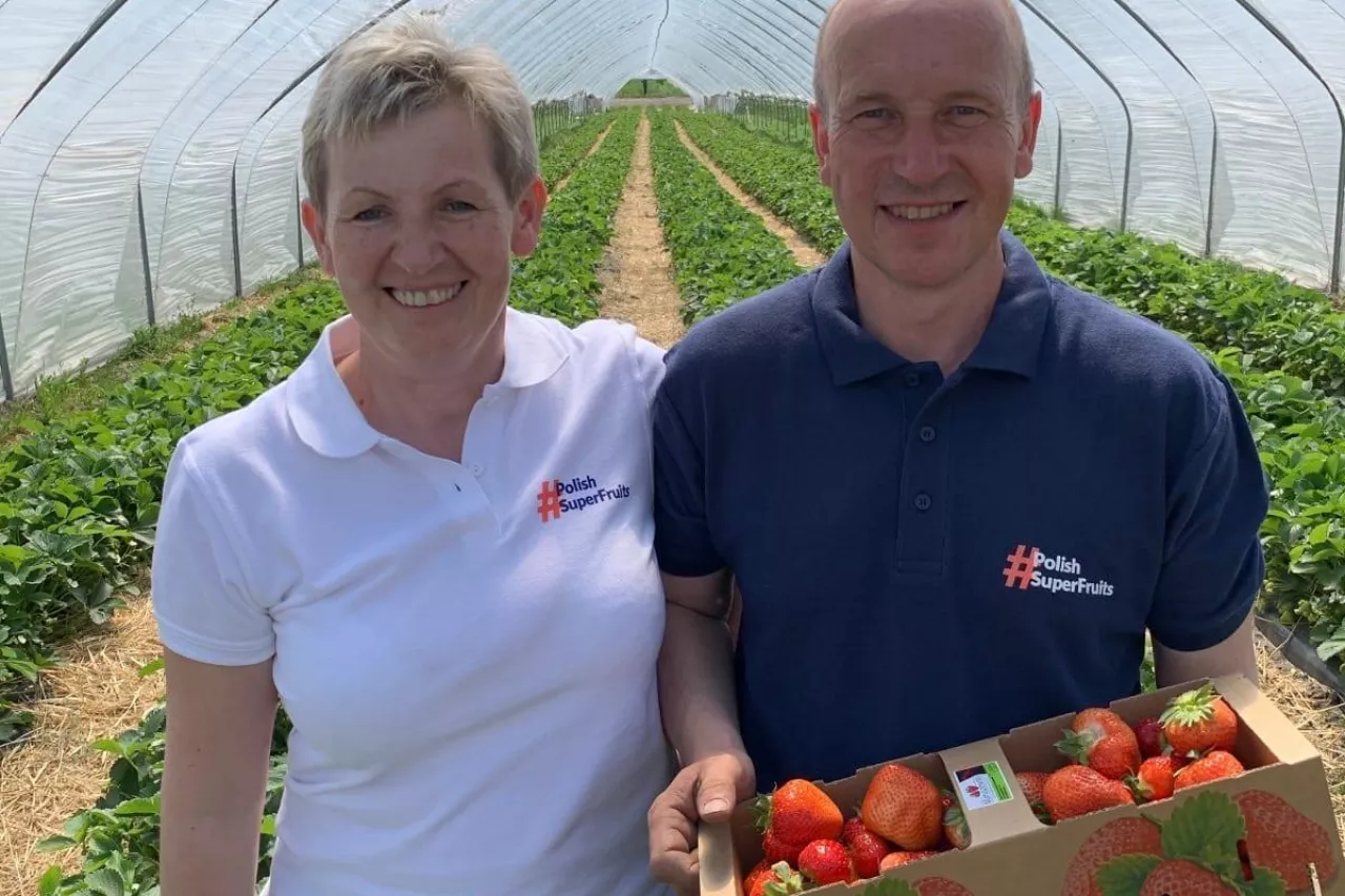 początek sezonu truskawek