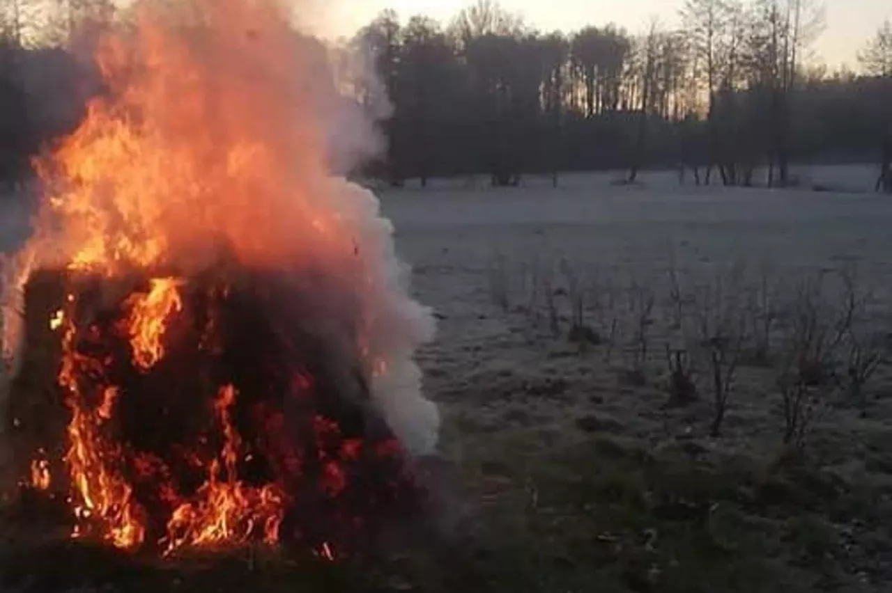 przymrozki 2020 zimni ogrodnicy