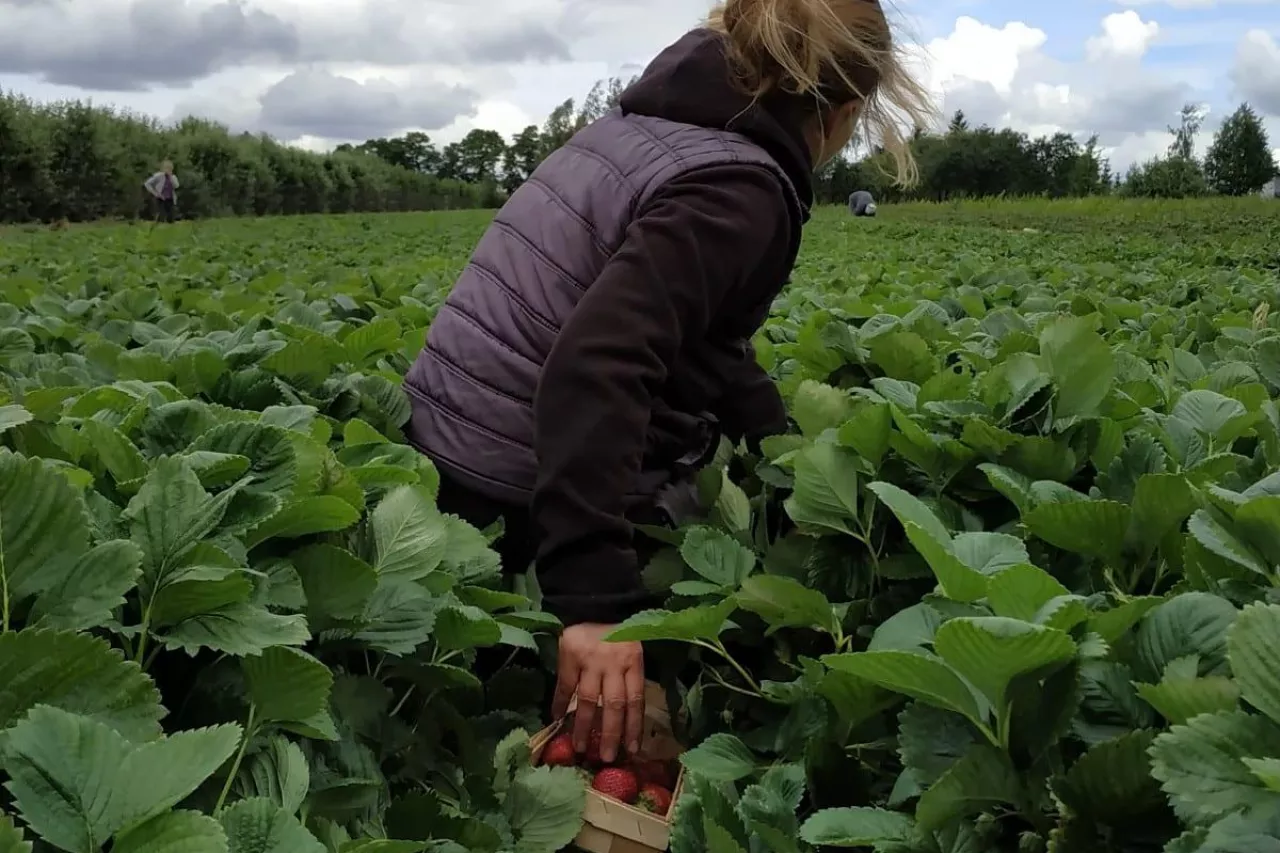 czerwińsk nad wisła