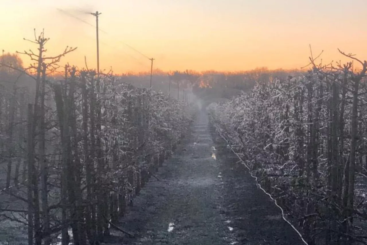 kradzieże w gospodarstwach