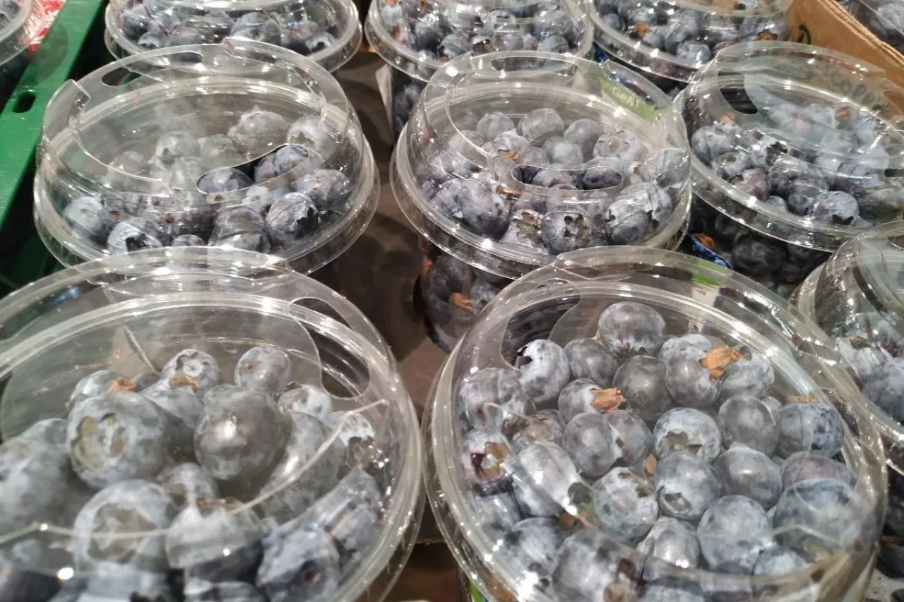 importowana borówka